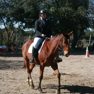 CavalSud